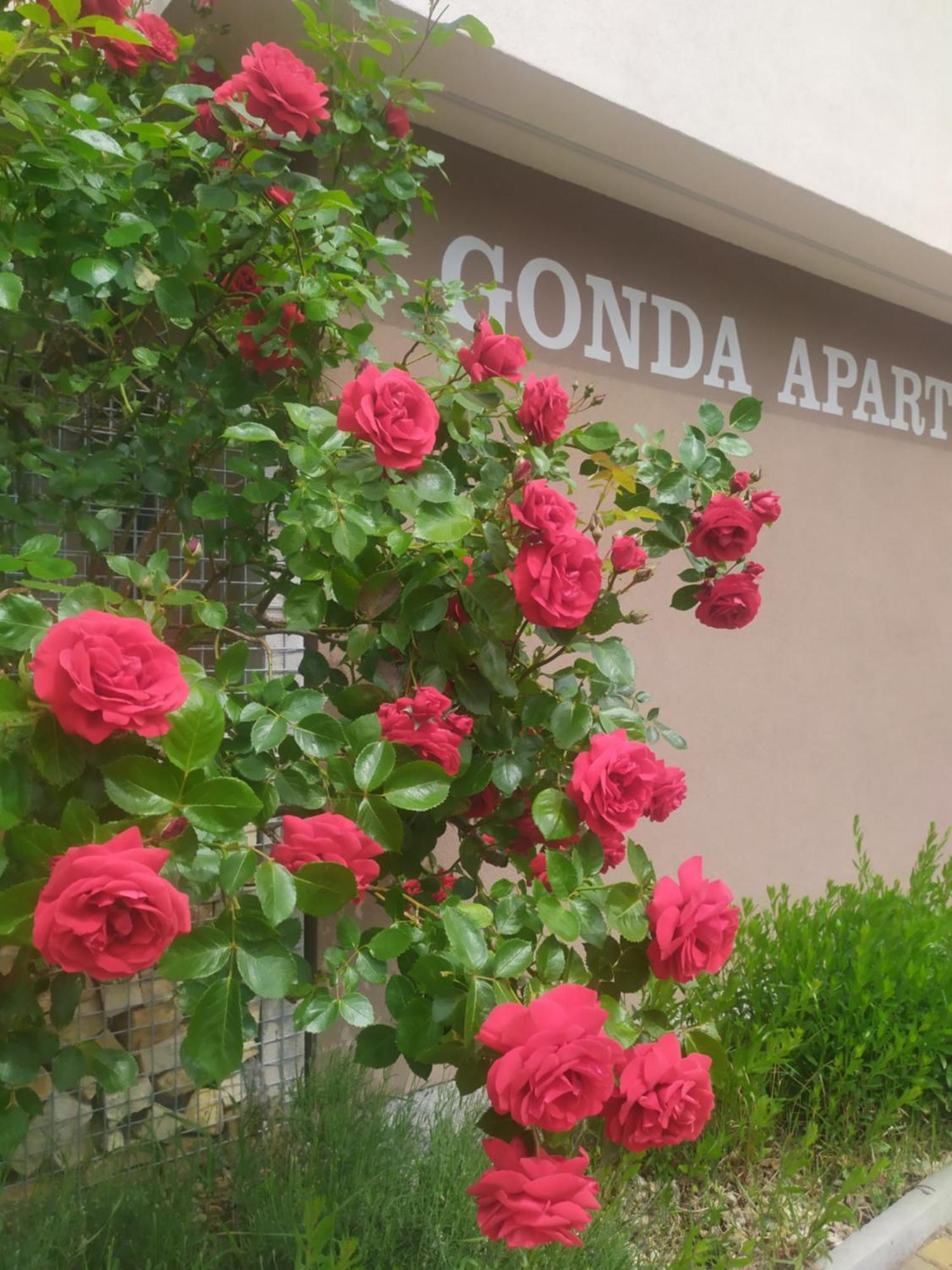 Gonda Apartments Hradec Králové Exterior foto
